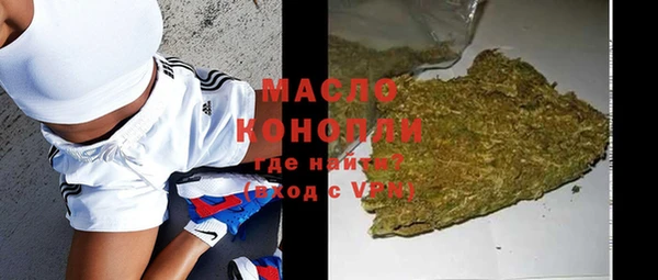 индика Волосово