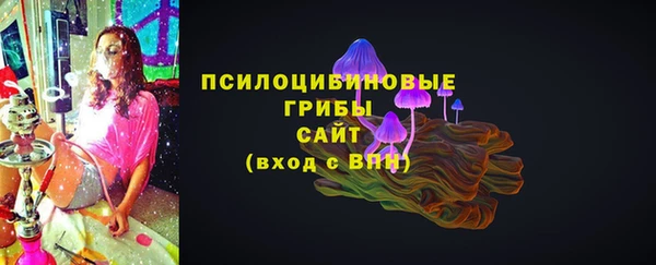 индика Волосово