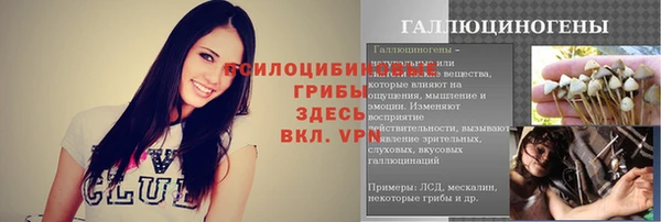 apvp Володарск