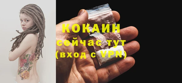 индика Волосово