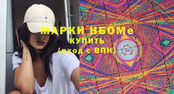 индика Волосово